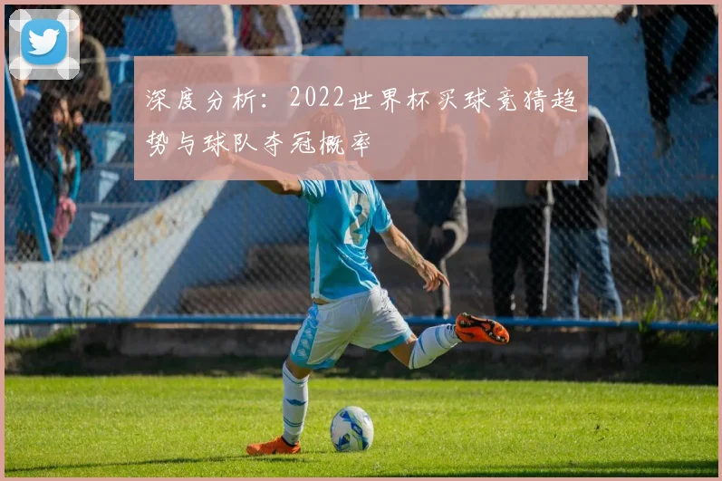 深度分析：2022世界杯买球竞猜趋势与球队夺冠概率