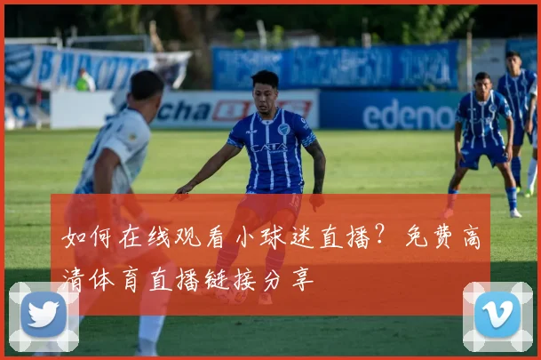 如何在线观看小球迷直播？免费高清体育直播链接分享