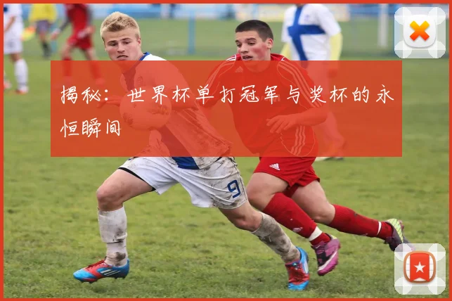 揭秘：世界杯单打冠军与奖杯的永恒瞬间