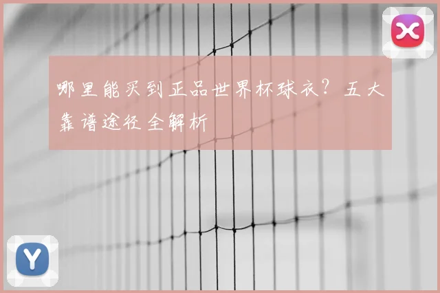哪里能买到正品世界杯球衣？五大靠谱途径全解析