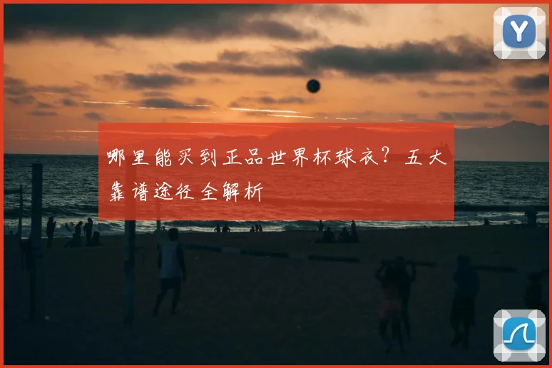 哪里能买到正品世界杯球衣？五大靠谱途径全解析