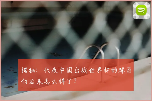 揭秘：代表中国出战世界杯的球员们后来怎么样了？