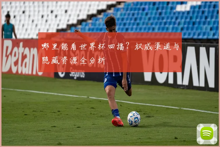 哪里能看世界杯回播？权威渠道与隐藏资源全分析