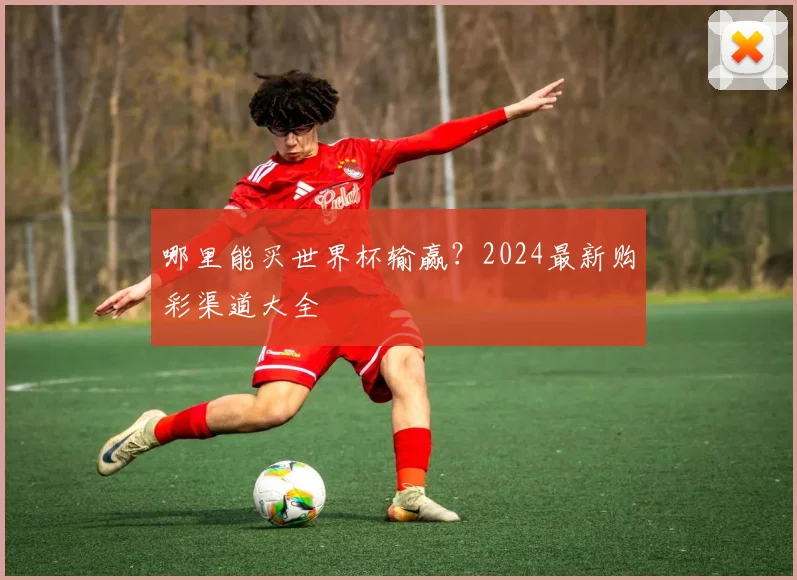 哪里能买世界杯输赢？2024最新购彩渠道大全