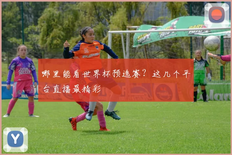 哪里能看世界杯预选赛？这几个平台直播最精彩