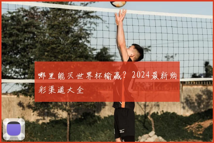 哪里能买世界杯输赢？2024最新购彩渠道大全