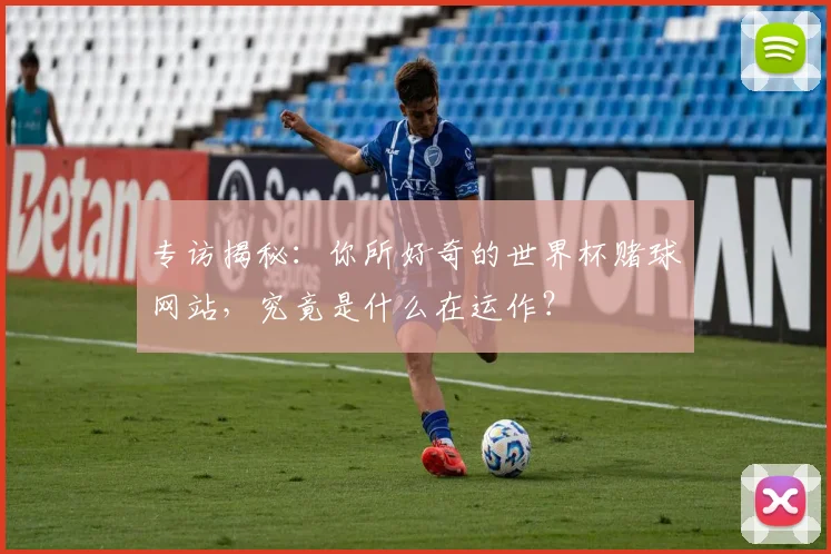 专访揭秘：你所好奇的世界杯赌球网站，究竟是什么在运作？